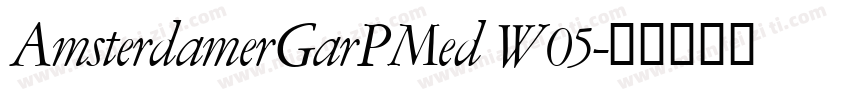 AmsterdamerGarPMed W05字体转换